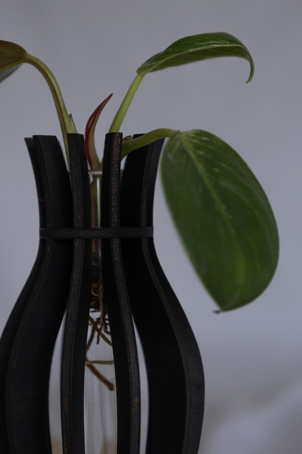 Aby – Holzvase Schwarz