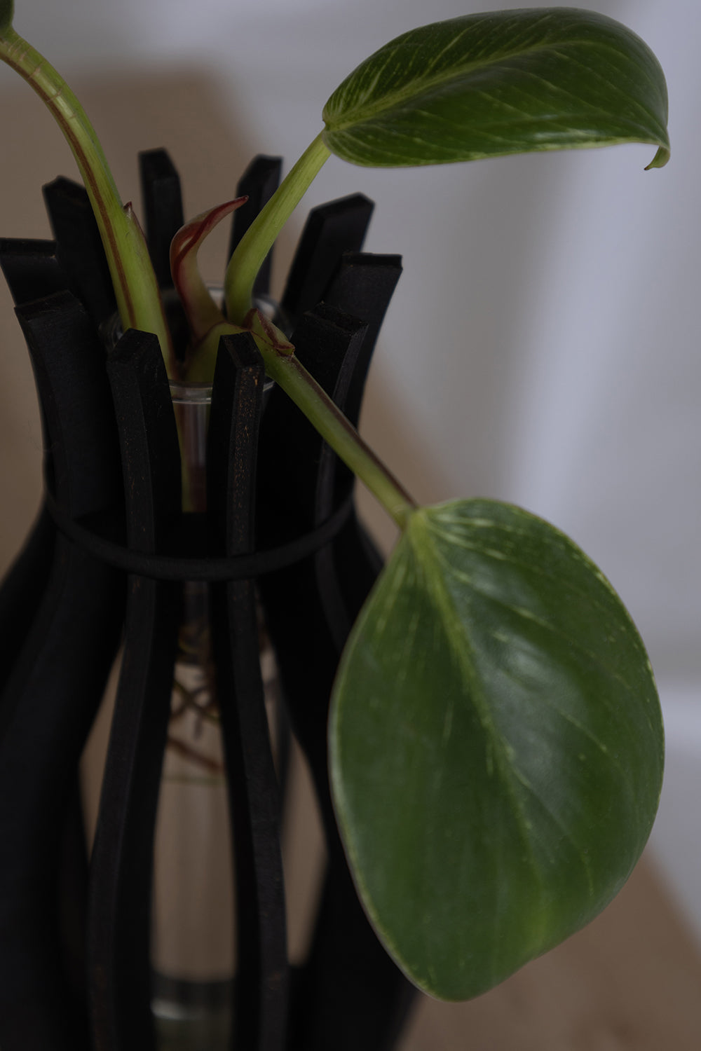 Aby – Holzvase Schwarz