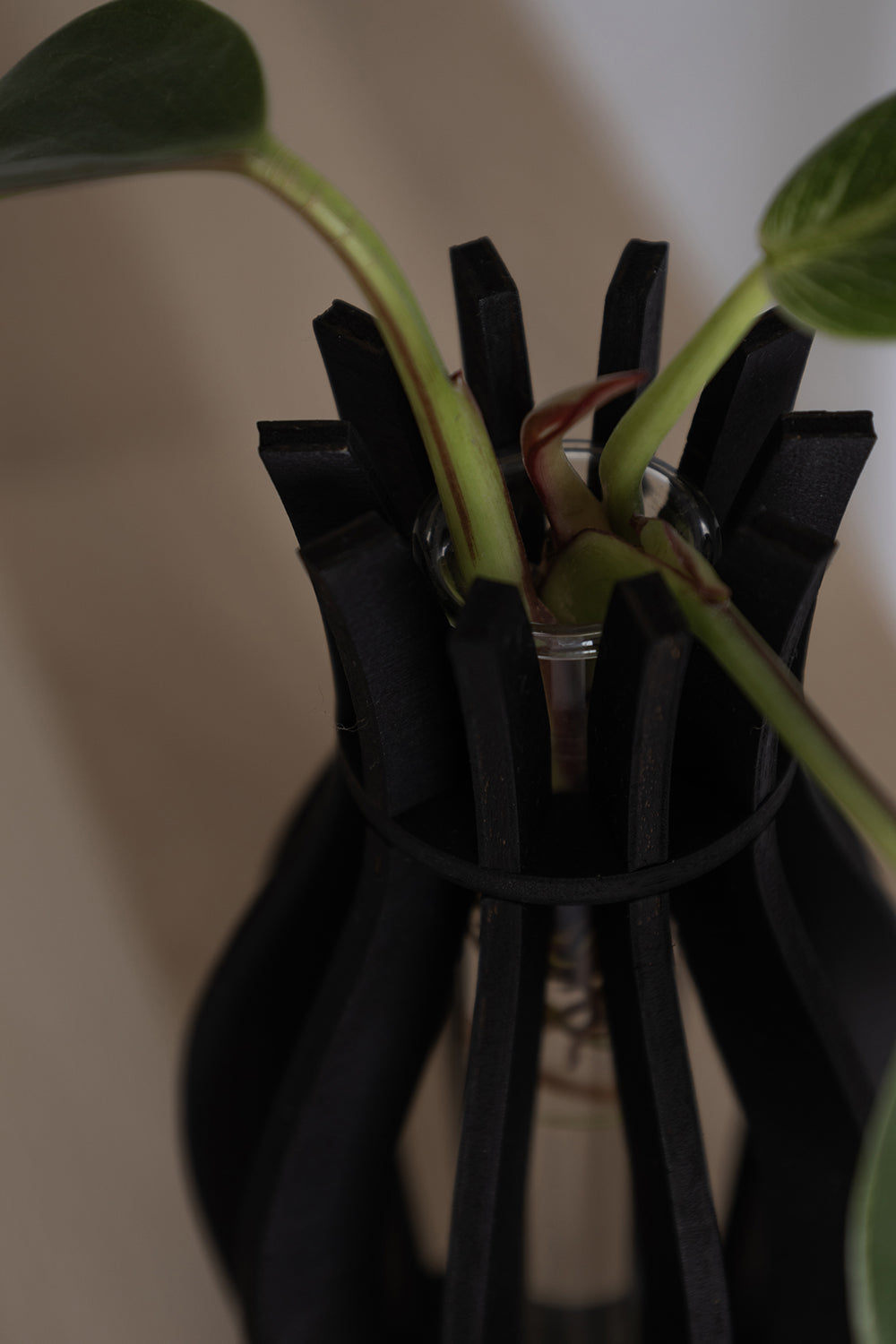 Aby – Holzvase Schwarz