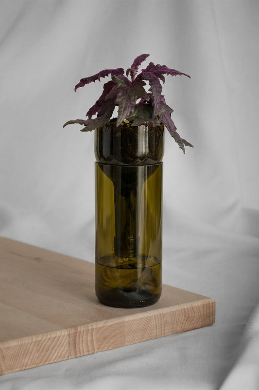 Aqua - Vase