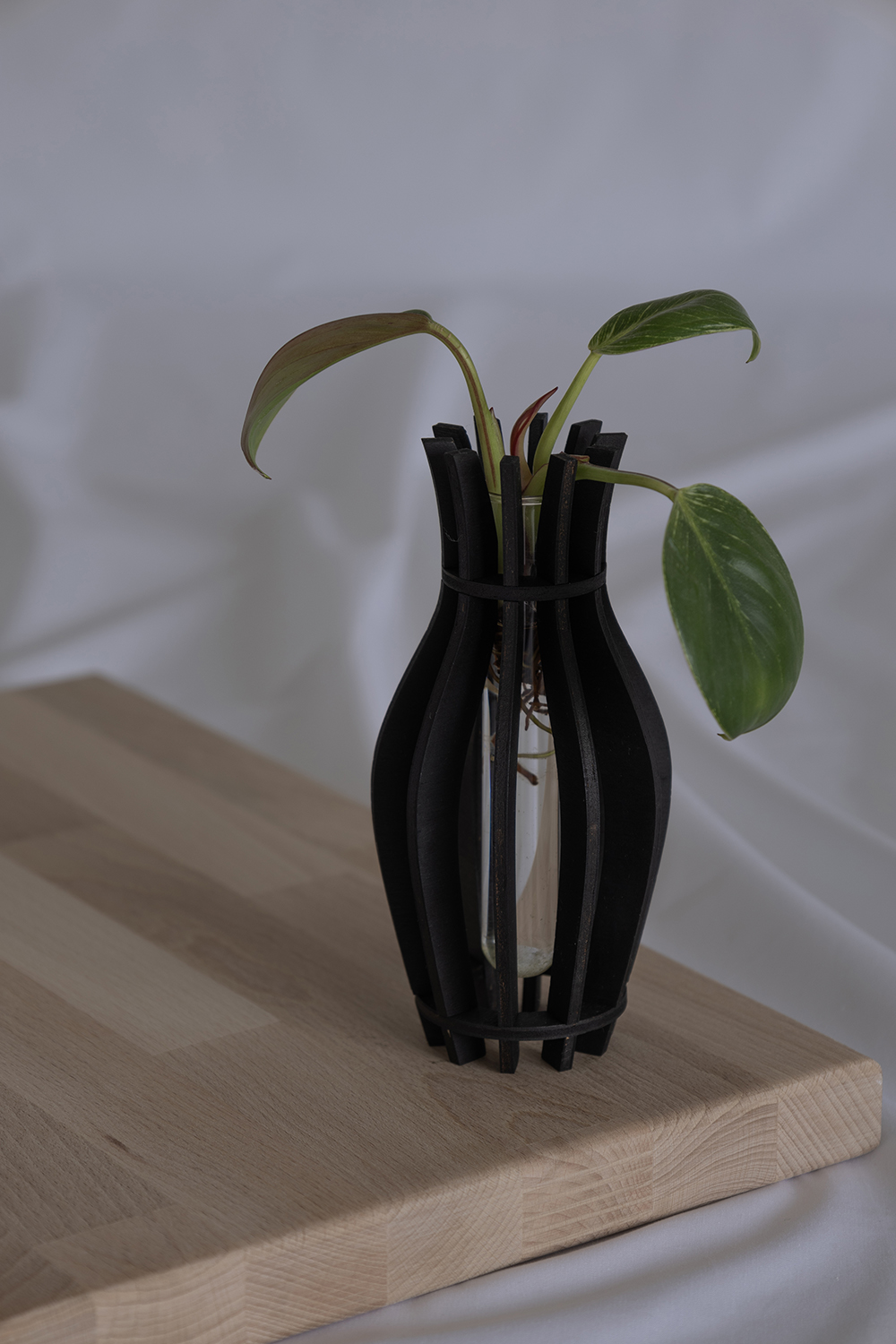 Aby – Elegante Vase aus nachhaltigem Holz für kleine Stecklinge_ayvye_0769