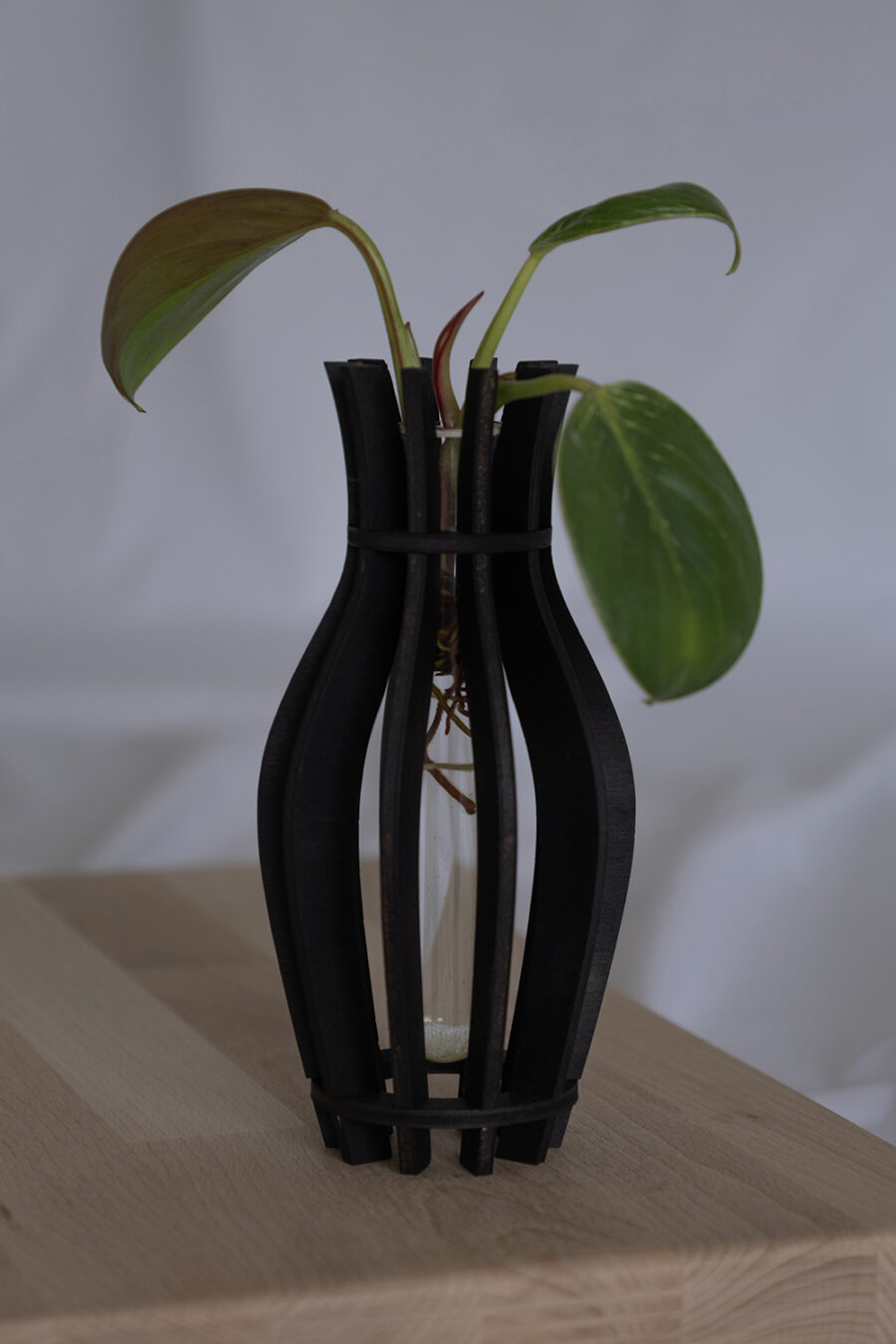 Aby – Elegante Vase aus nachhaltigem Holz für kleine Stecklinge_ayvye_0804